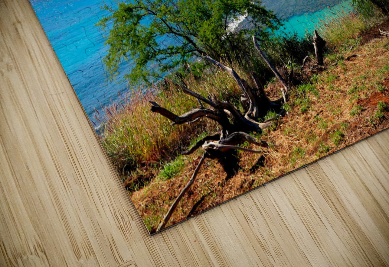 Paradise Found 2 Click4Pix Puzzle