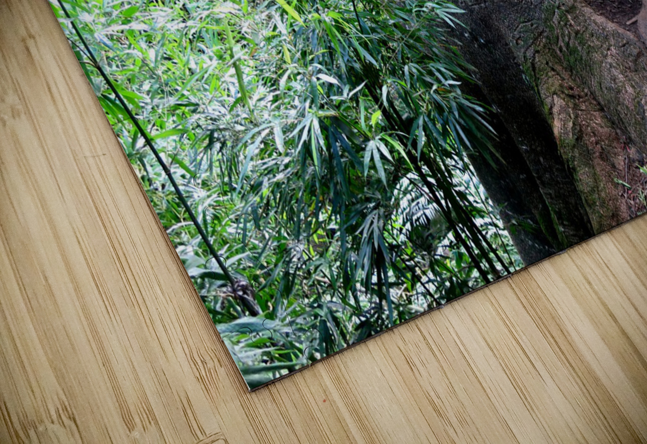 Got Stumped  Click4Pix Puzzle