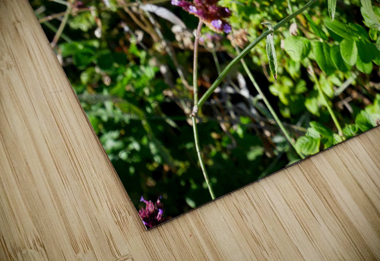 Monarch Butterfly Click4Pix Puzzle