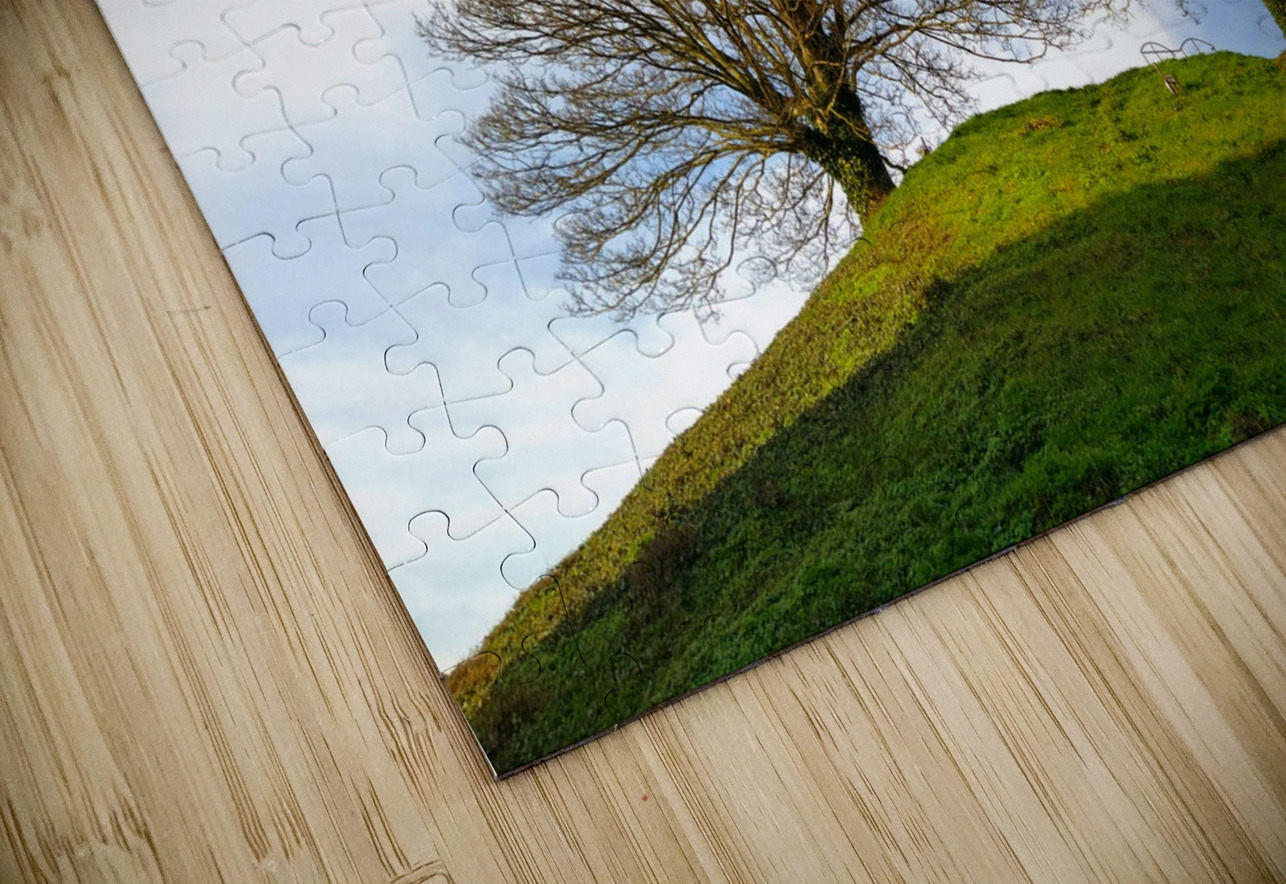 Standing Guard Click4Pix Puzzle