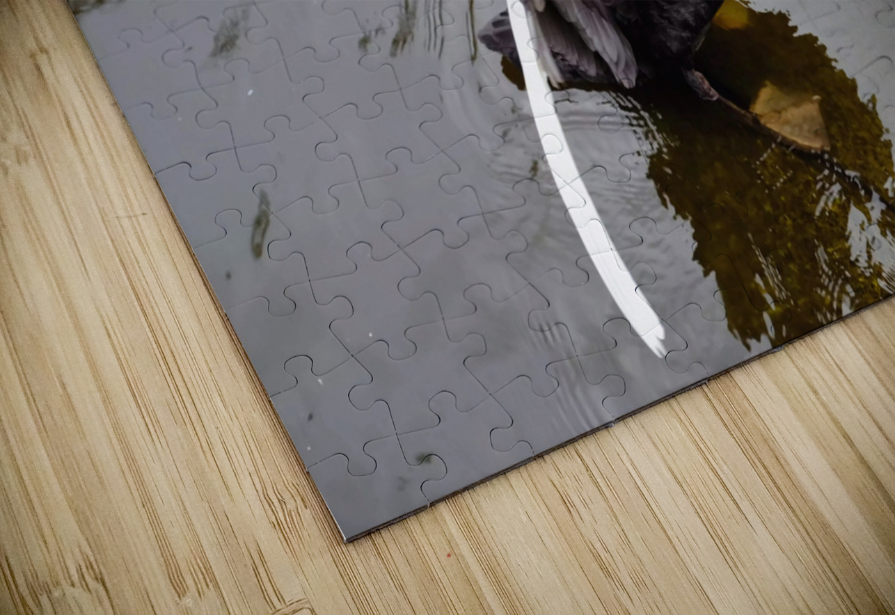 A Black Swan Moment 2B Click4Pix Puzzle