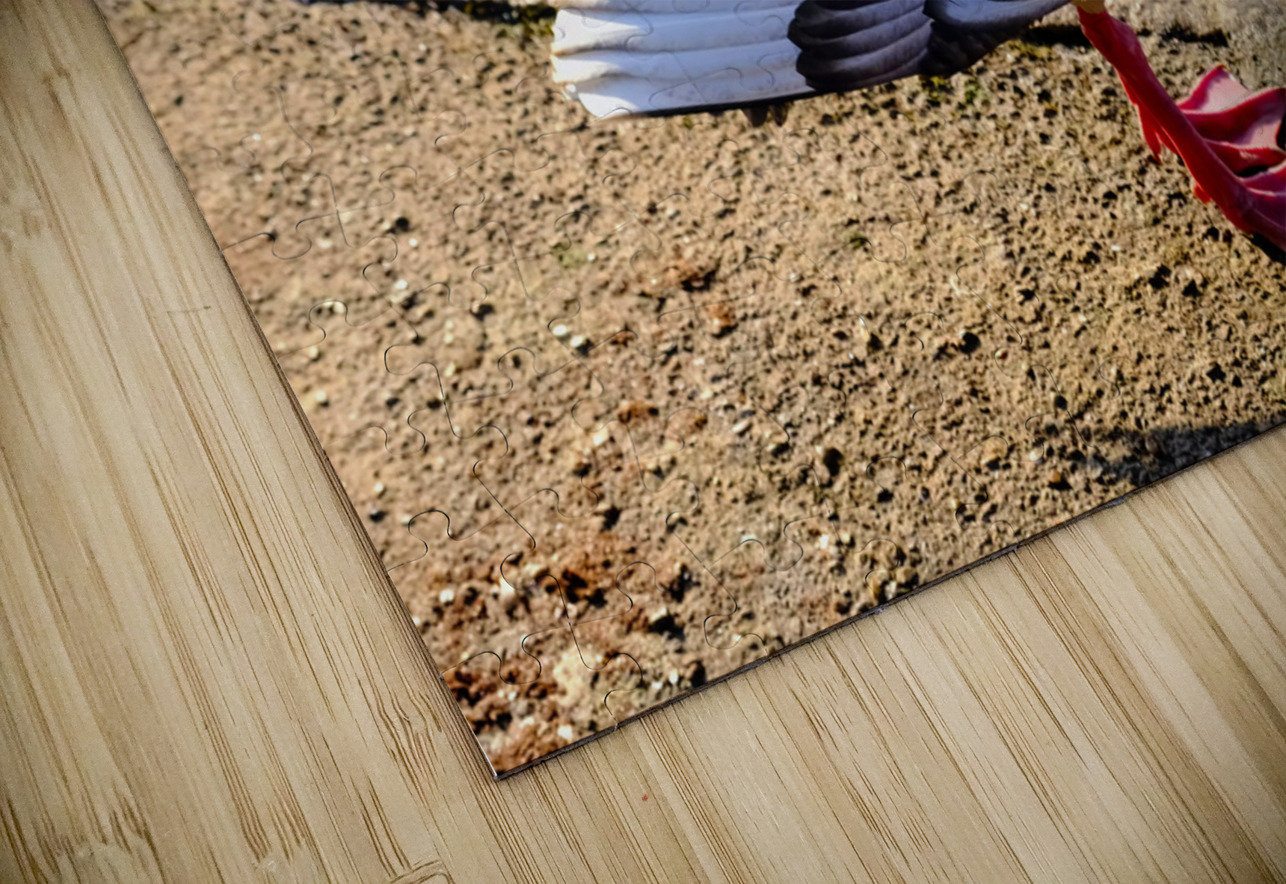 No Selfies Please  Click4Pix Puzzle