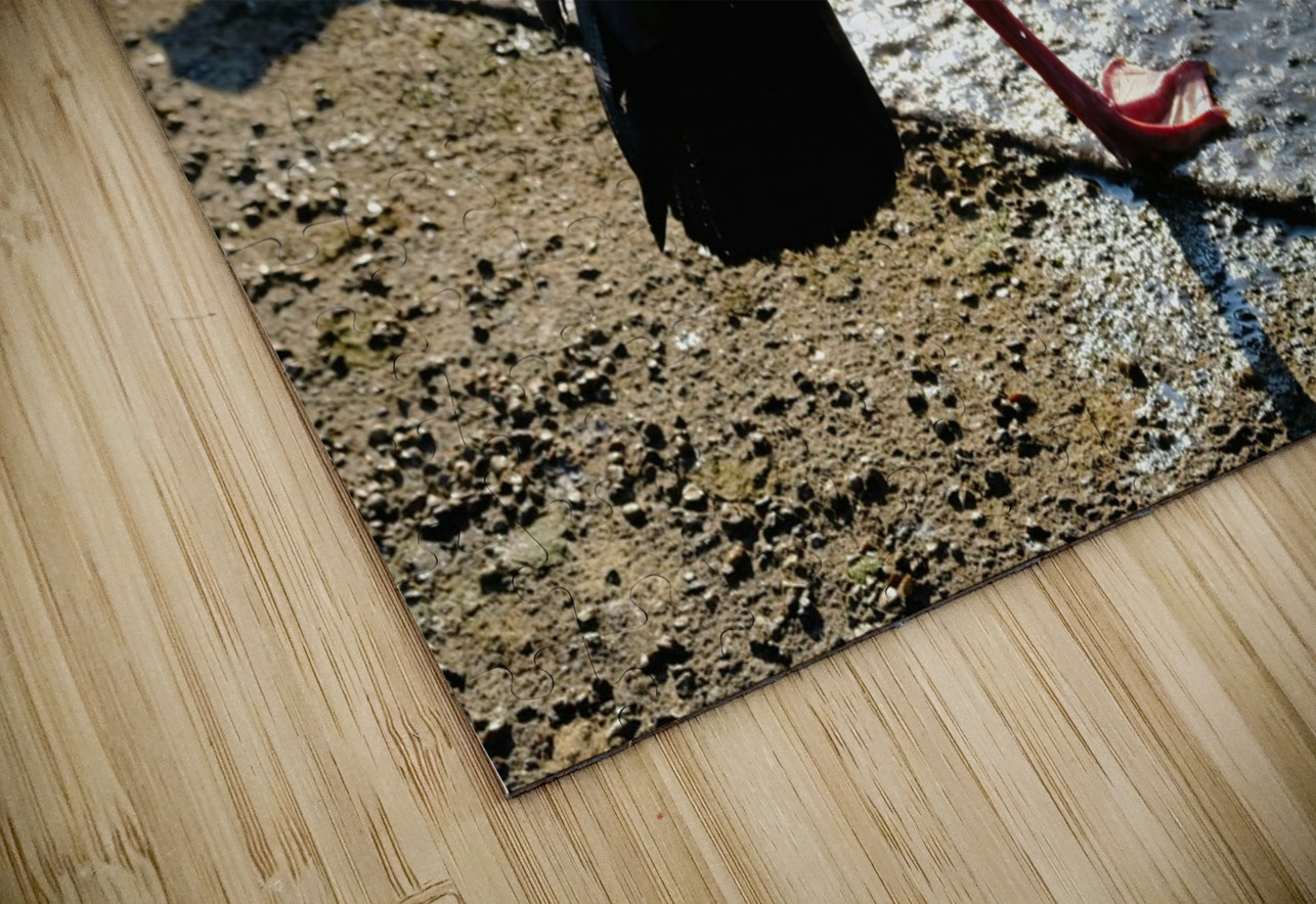 Is the Sky Falling...Just Checking Click4Pix Puzzle