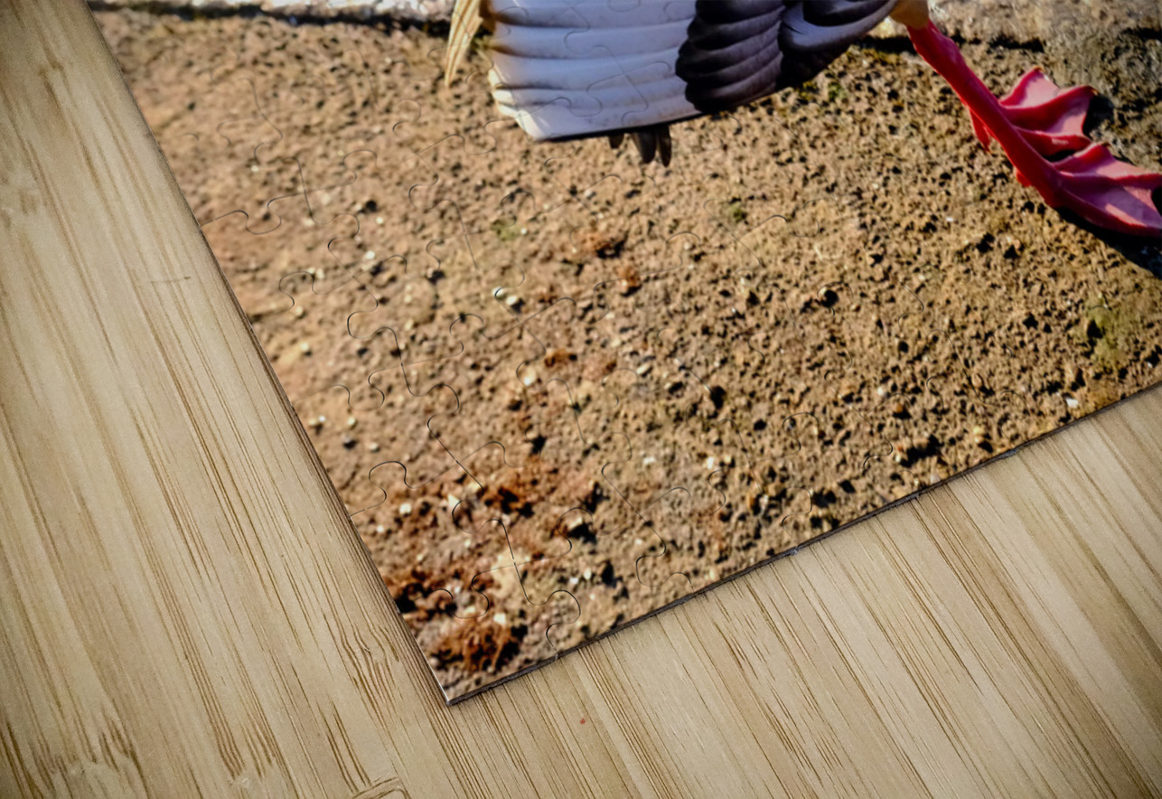 Duck Pose Click4Pix Puzzle