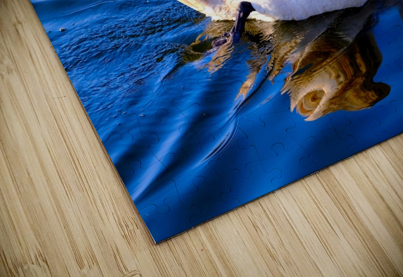 Baby Swan Cygnet 2 Click4Pix Puzzle