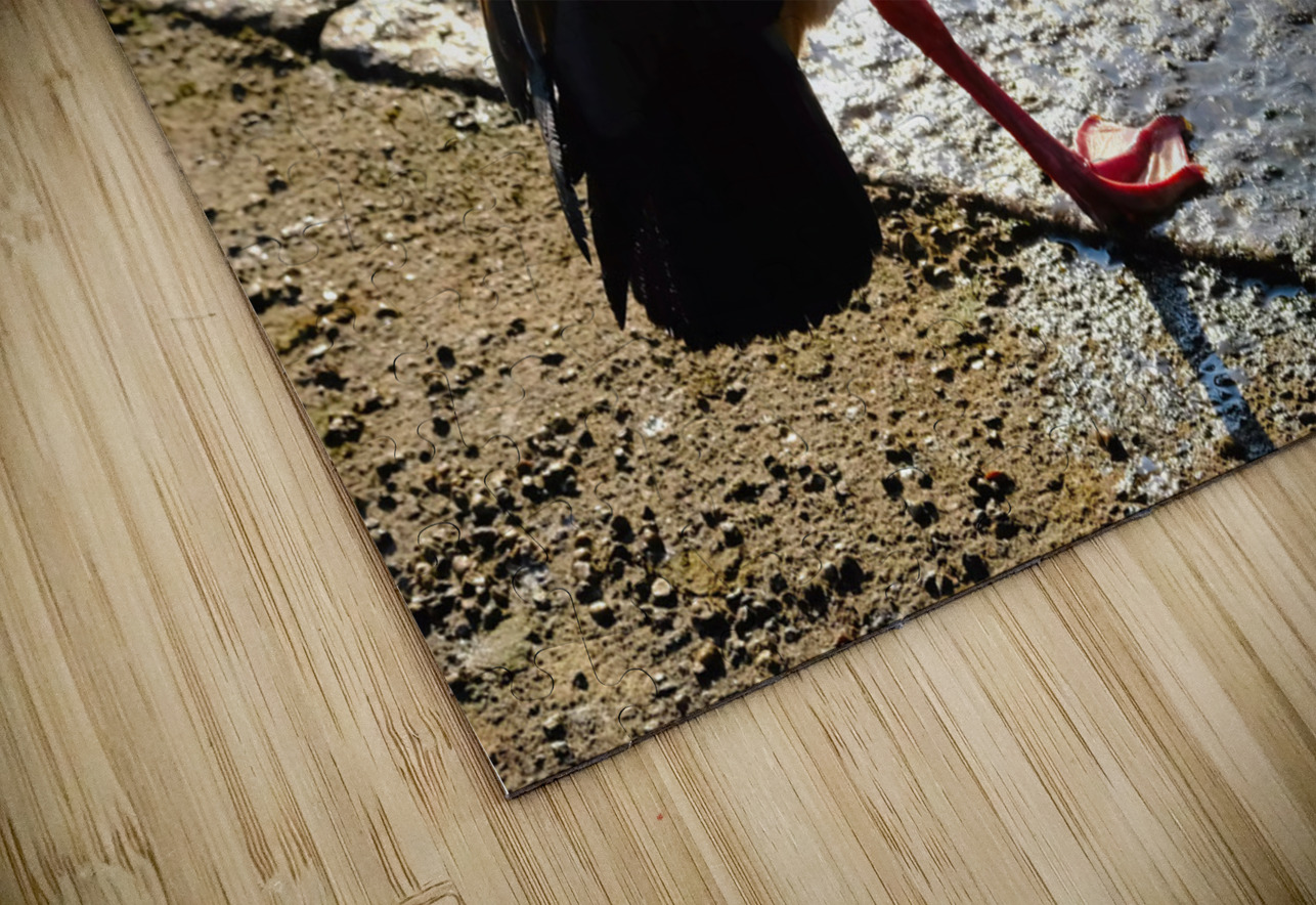  Step Off the Deep End Click4Pix Puzzle