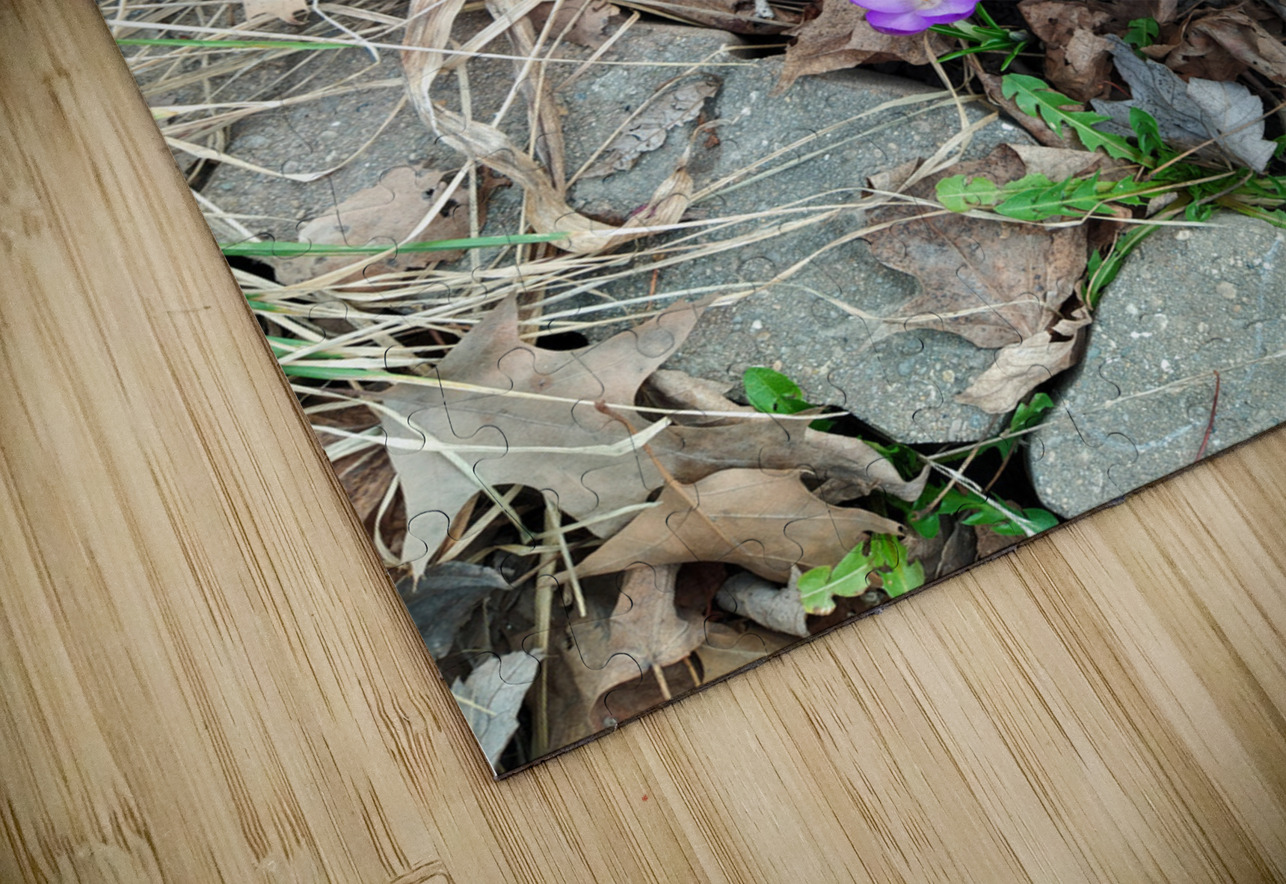 Petals of Renewal Click4Pix Puzzle