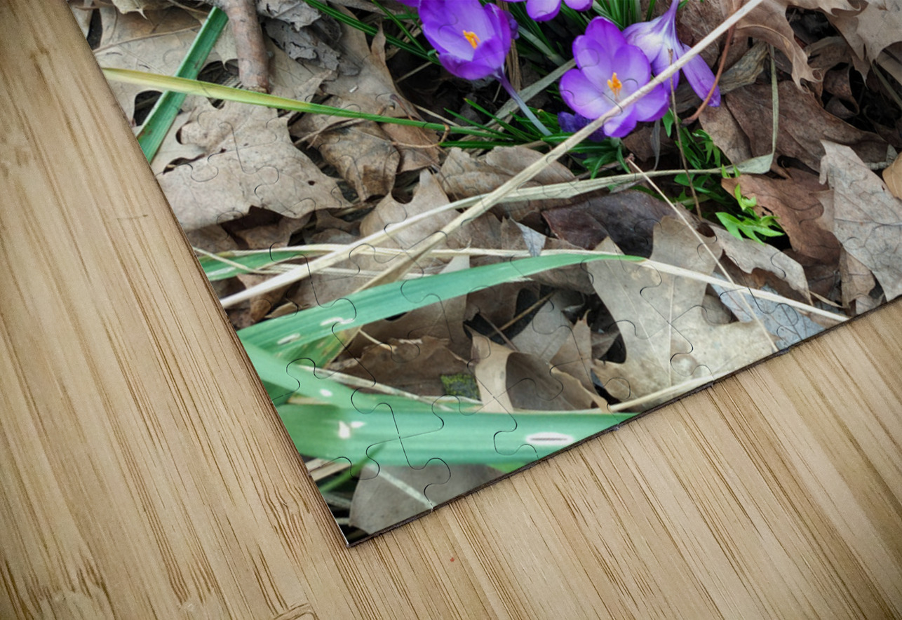 Spring Emerges Click4Pix Puzzle