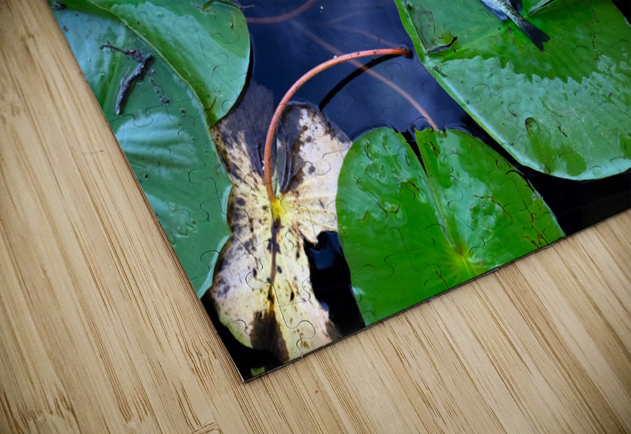 Resting Above the Depths Click4Pix Puzzle