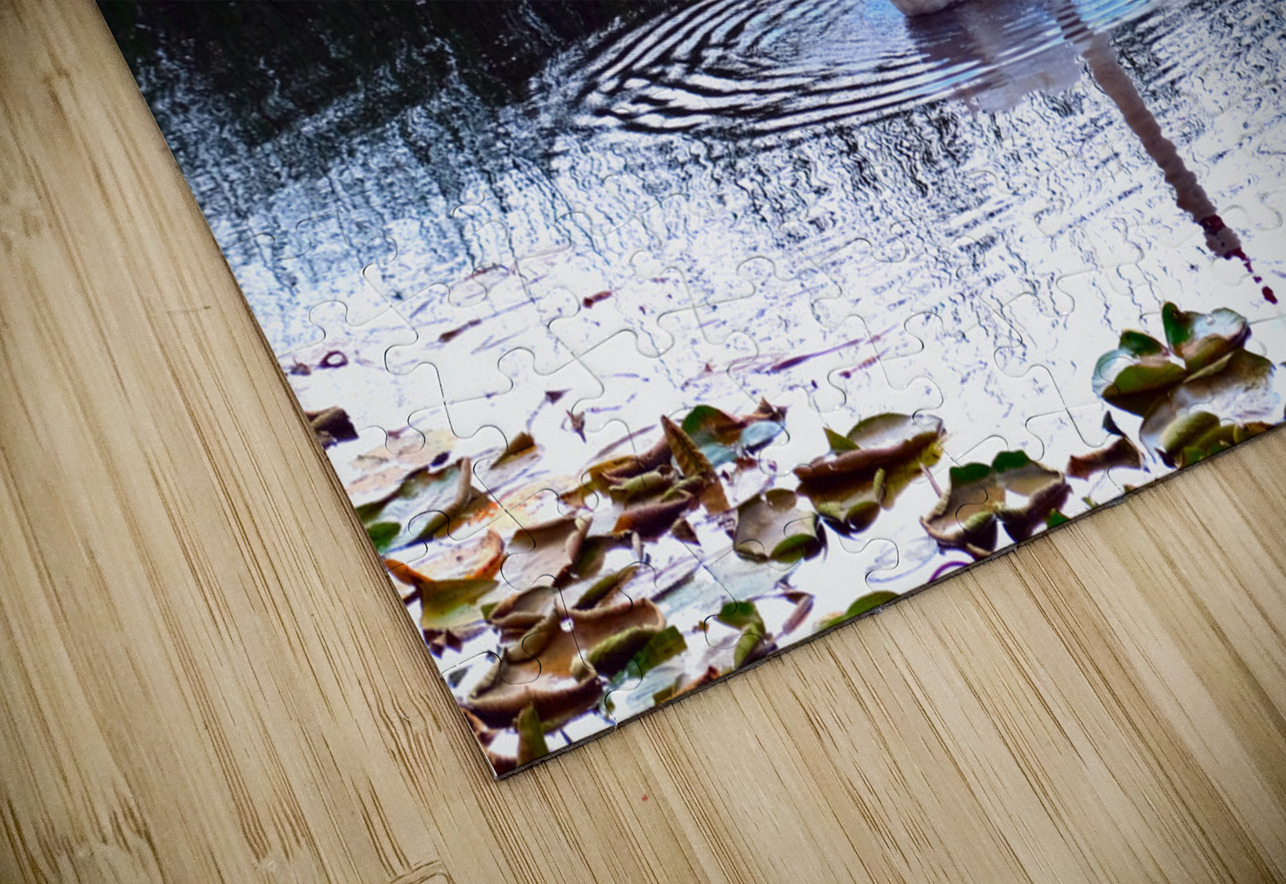 Where Is The Rain  Click4Pix Puzzle