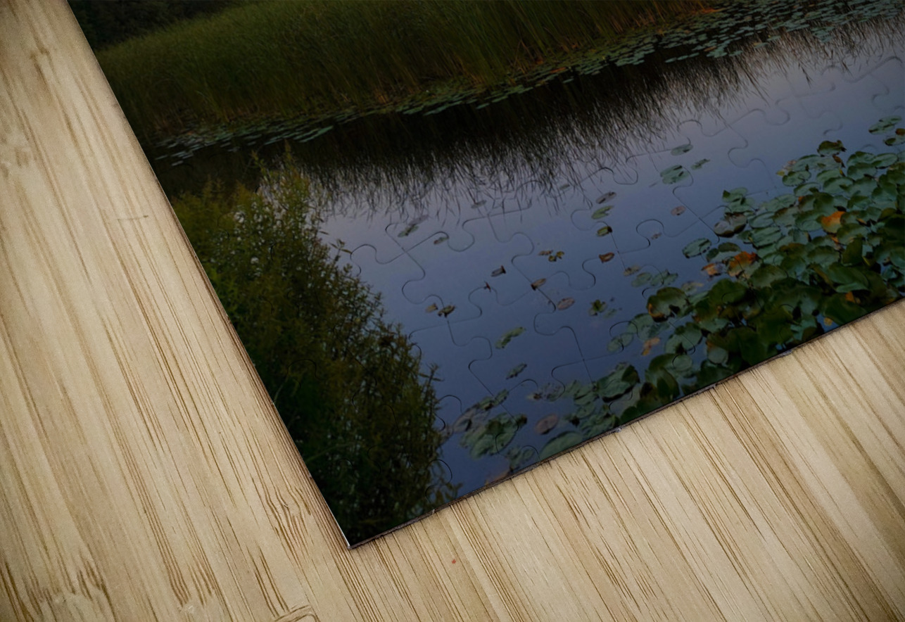 Solace in the Sky Click4Pix Puzzle