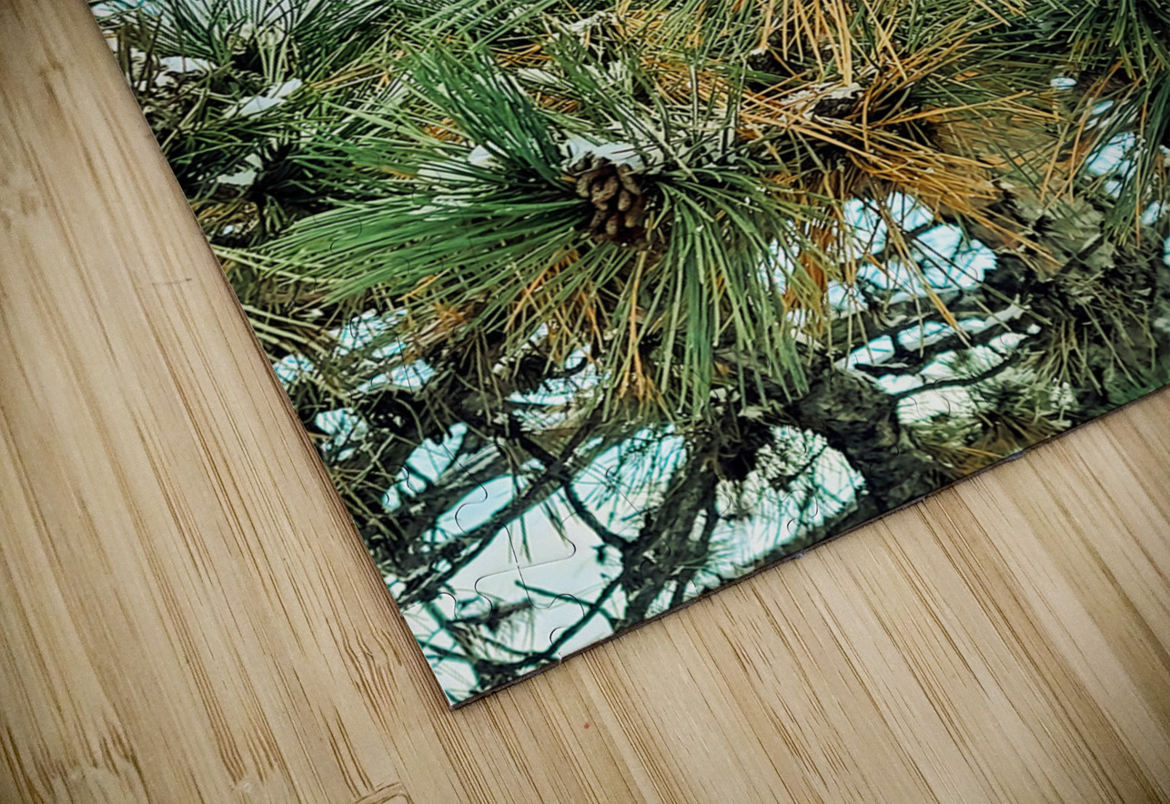  Frosted Pine Cones  Click4Pix Puzzle