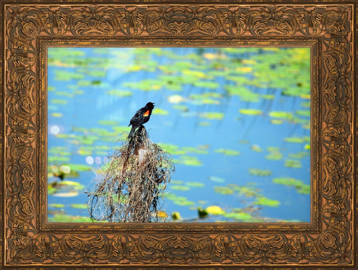 Impression de cadre personnalisé