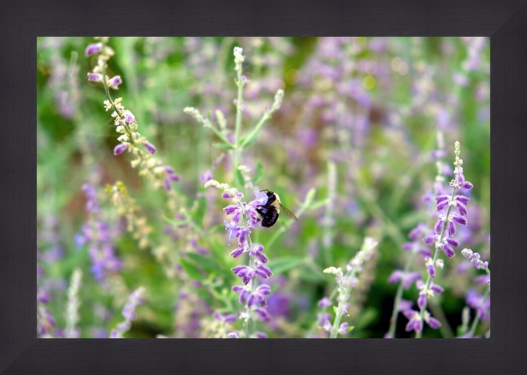 Impression de cadre personnalisé