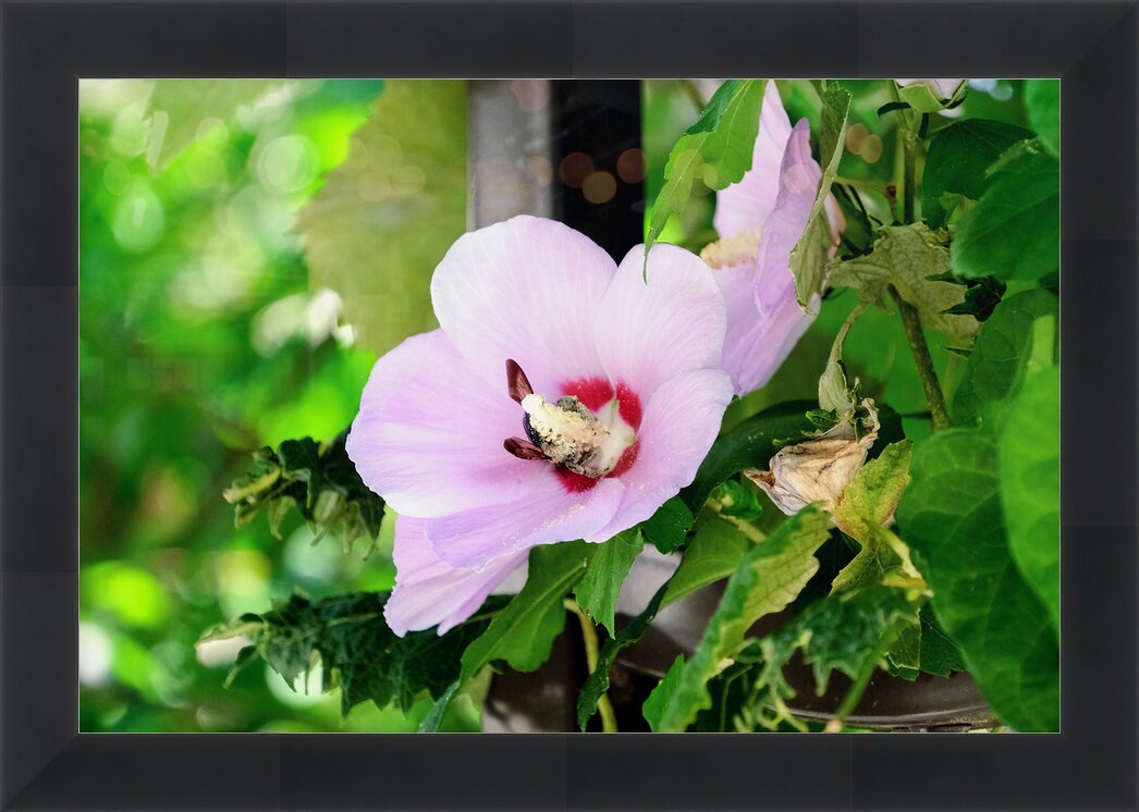 Impression de cadre personnalisé