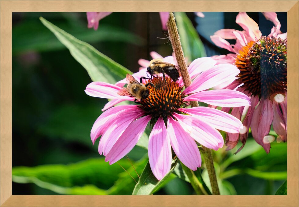 Impression de cadre personnalisé