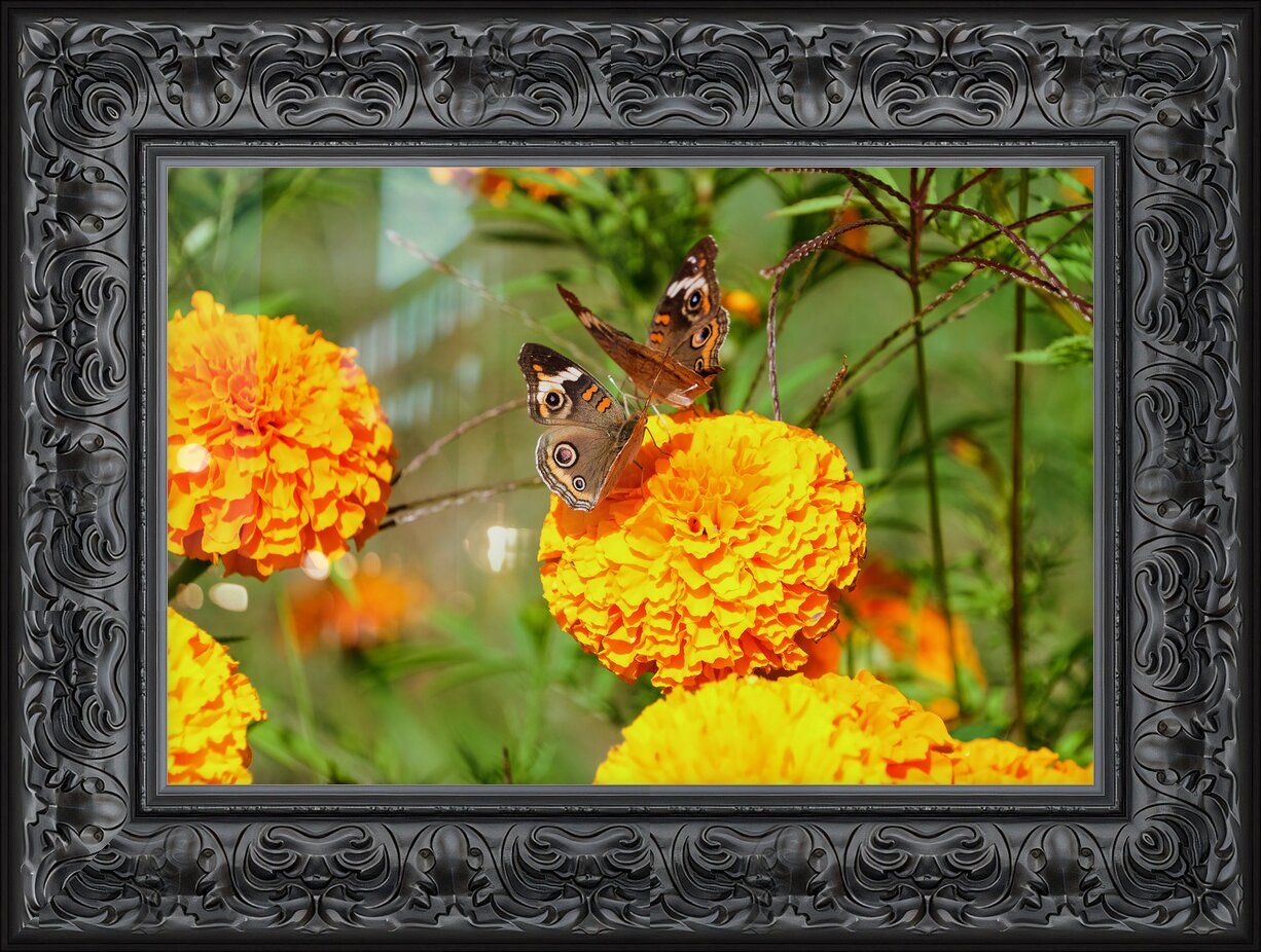 Impression de cadre personnalisé