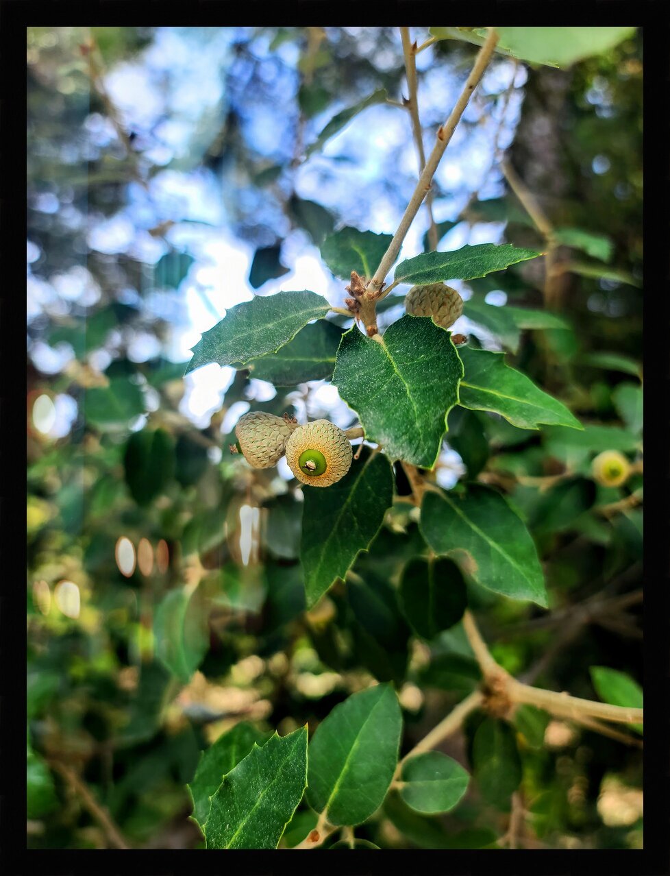 Impression de cadre personnalisé