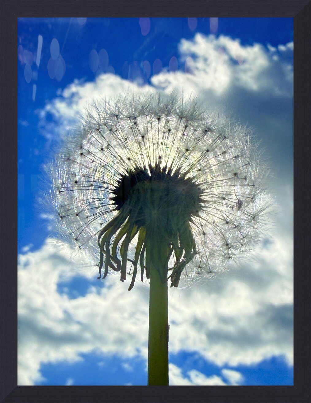 Impression de cadre personnalisé