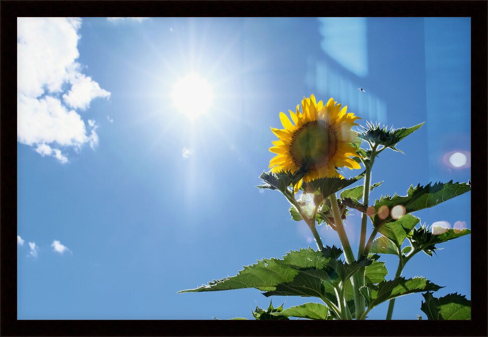 Impression de cadre personnalisé