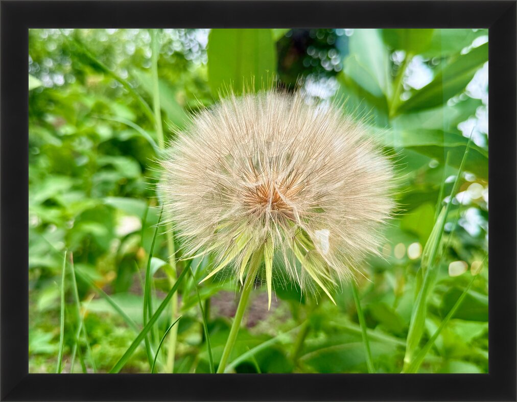 Impression de cadre personnalisé