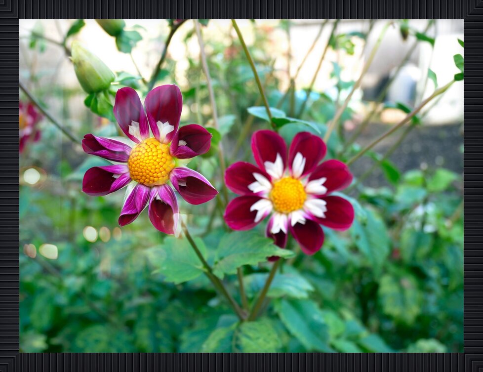 Impression de cadre personnalisé