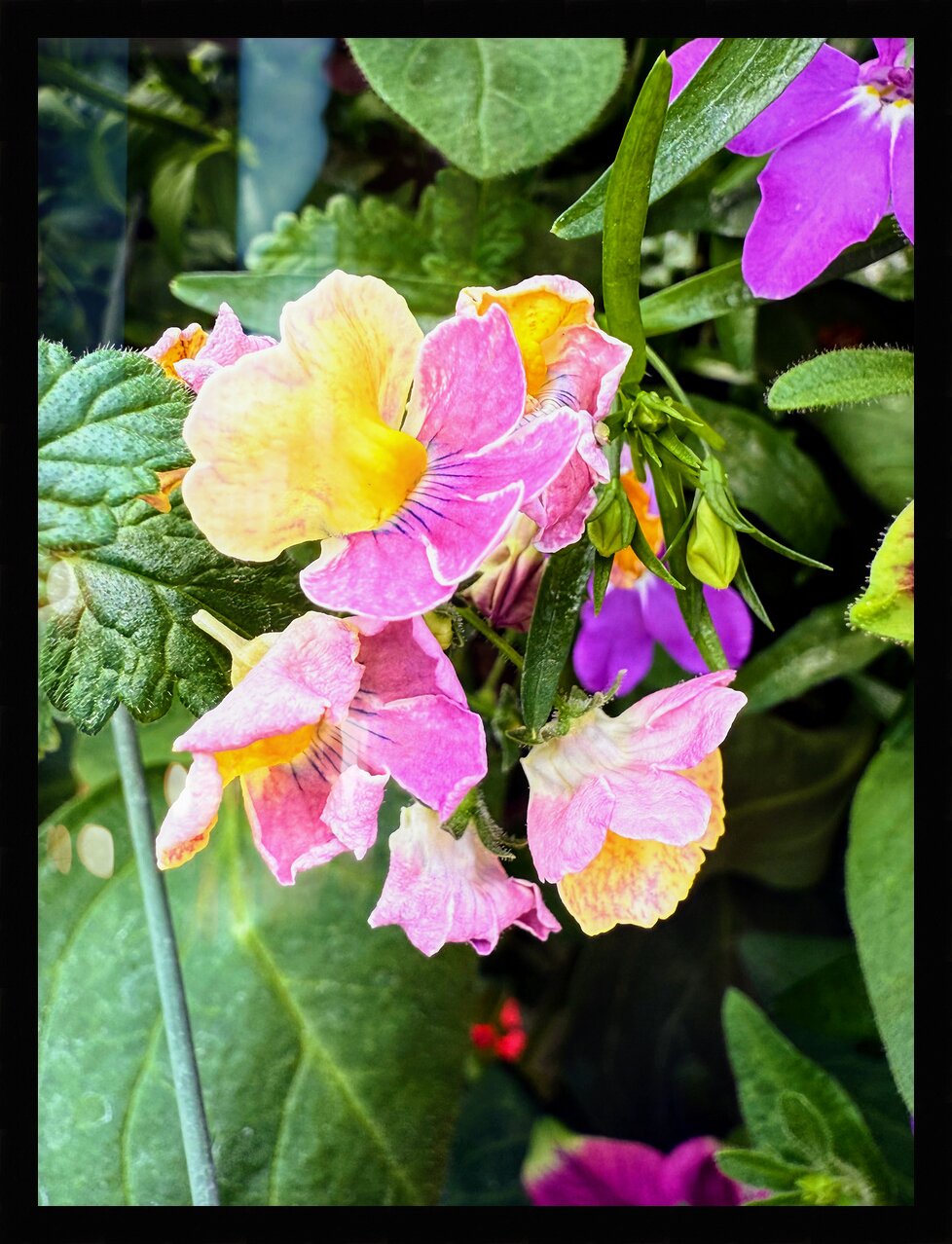 Impression de cadre personnalisé