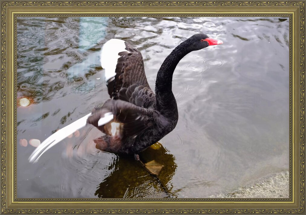 Impression de cadre personnalisé