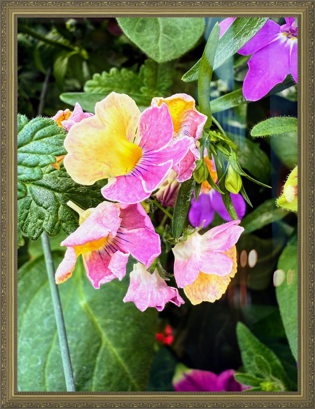 Impression de cadre personnalisé