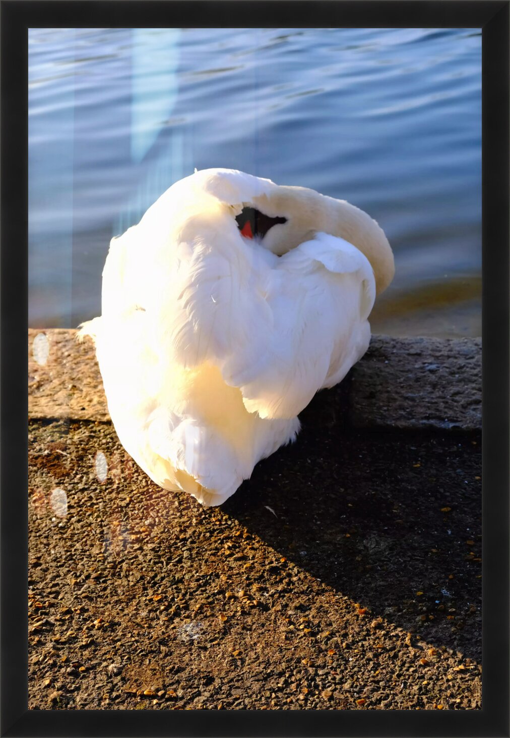 Impression de cadre personnalisé