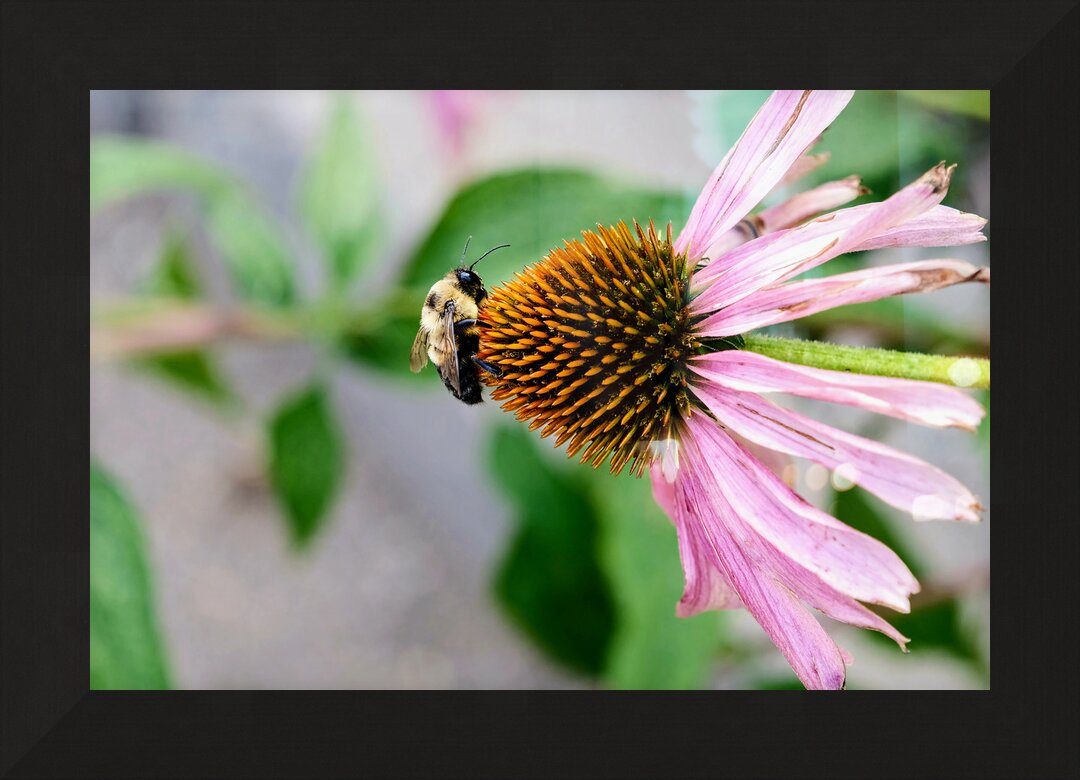 Impression de cadre personnalisé
