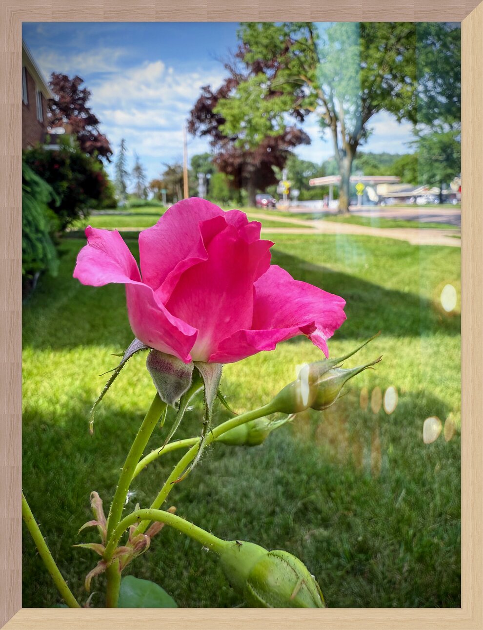 Impression de cadre personnalisé