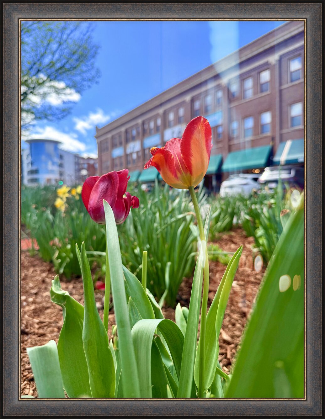 Impression de cadre personnalisé