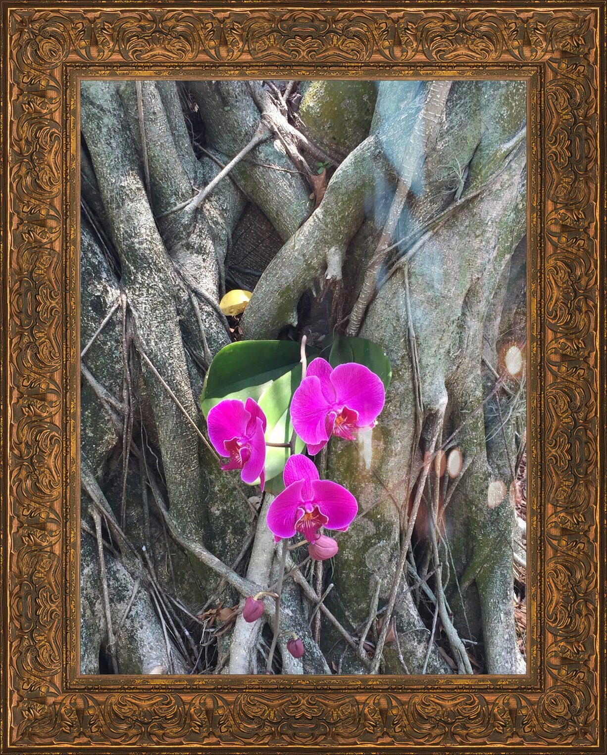 Impression de cadre personnalisé