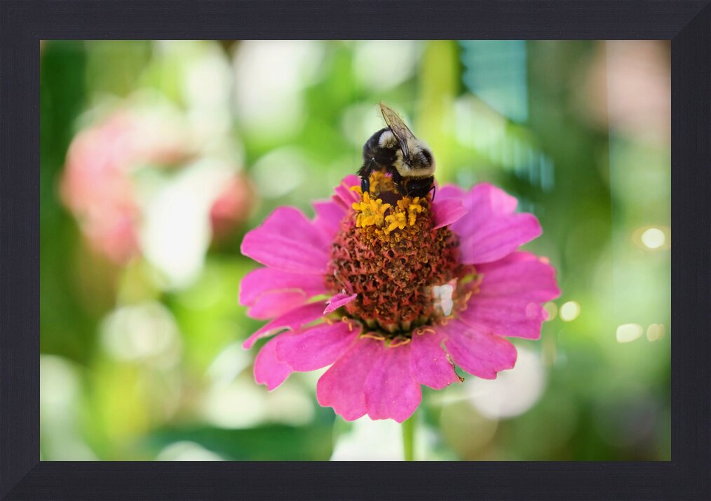 Impression de cadre personnalisé