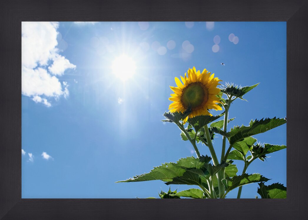 Impression de cadre personnalisé