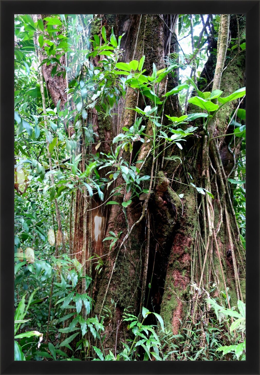 Impression de cadre personnalisé