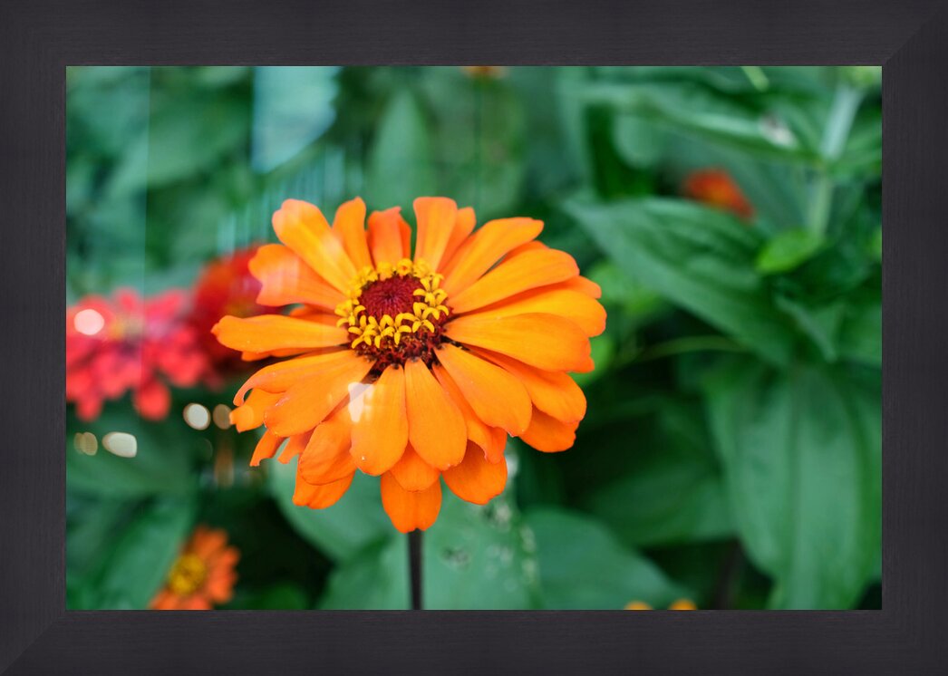 Impression de cadre personnalisé