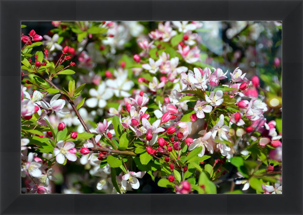 Impression de cadre personnalisé