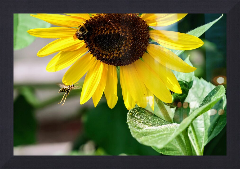 Impression de cadre personnalisé