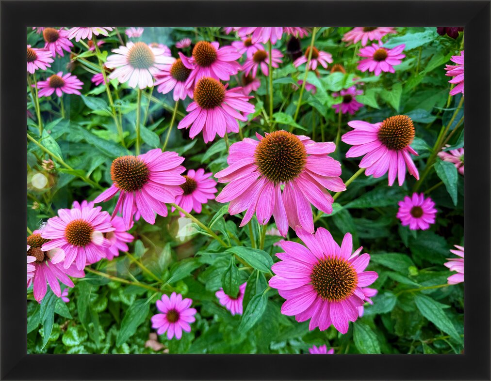 Impression de cadre personnalisé