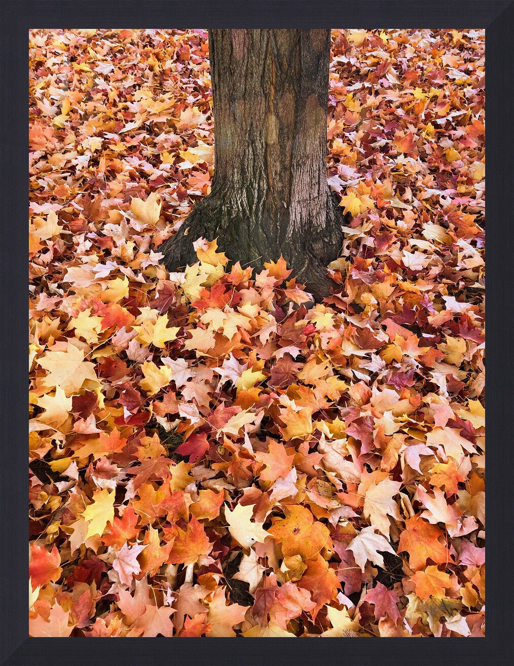 Impression de cadre personnalisé