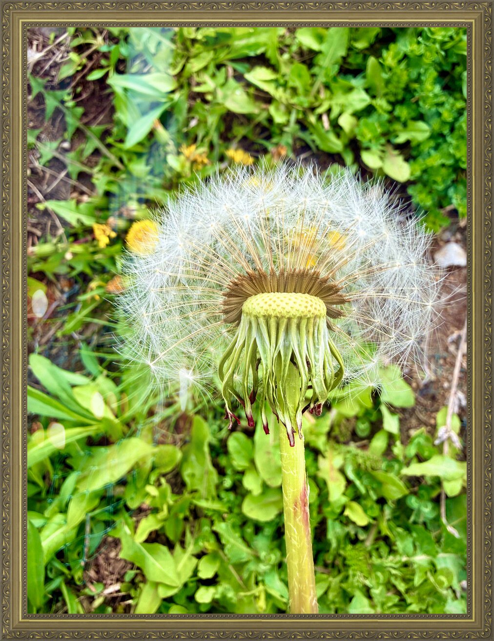 Impression de cadre personnalisé