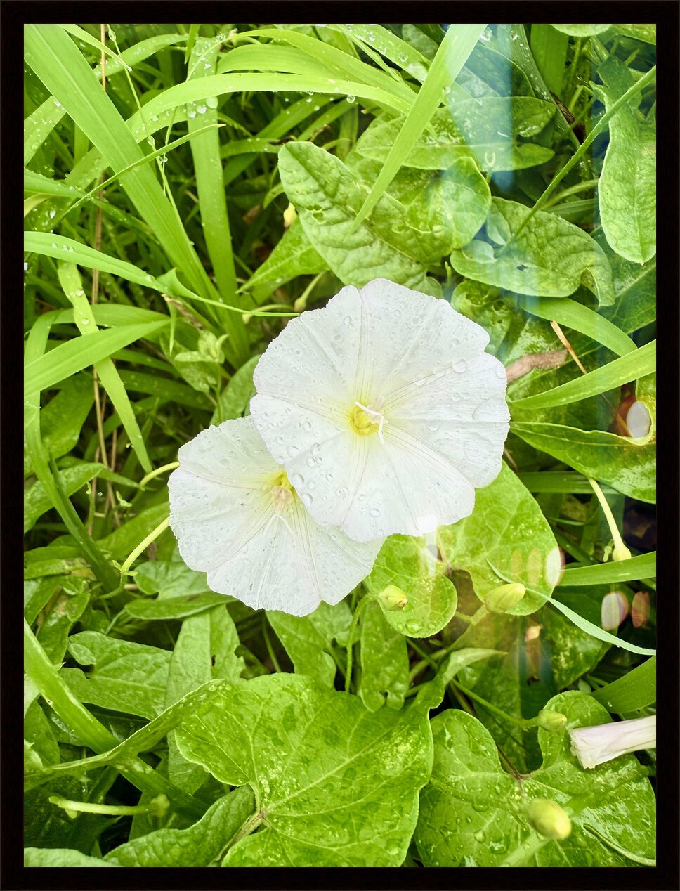 Impression de cadre personnalisé