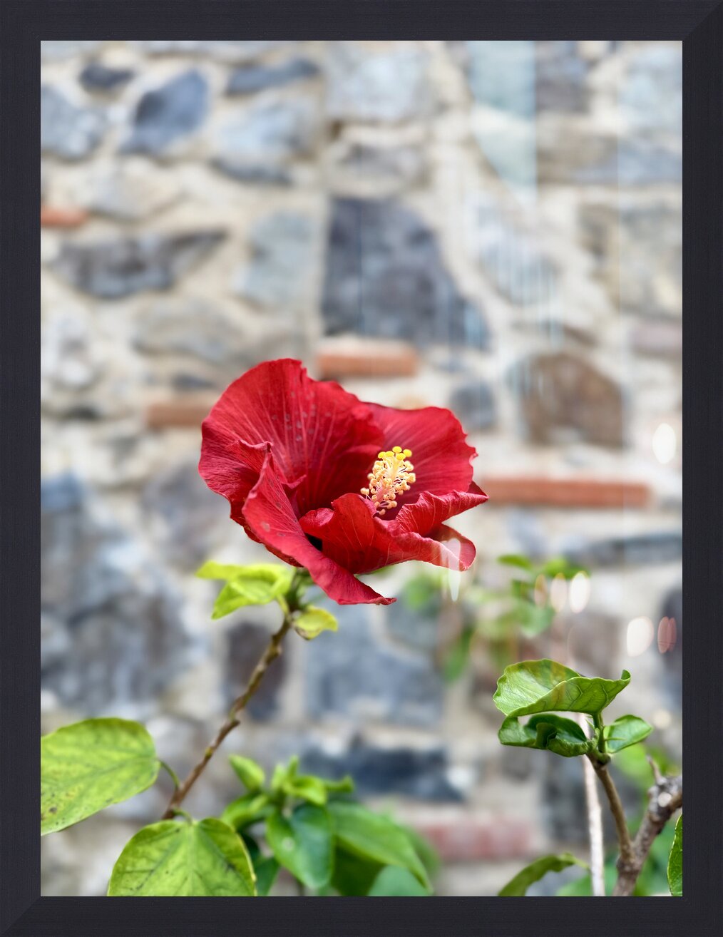 Impression de cadre personnalisé