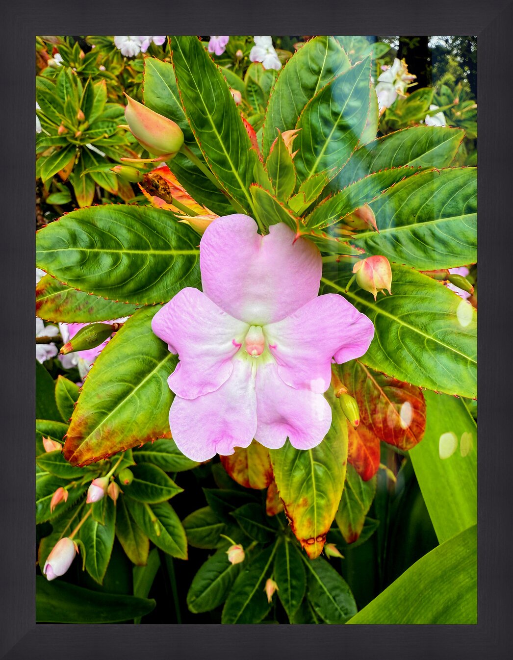 Impression de cadre personnalisé