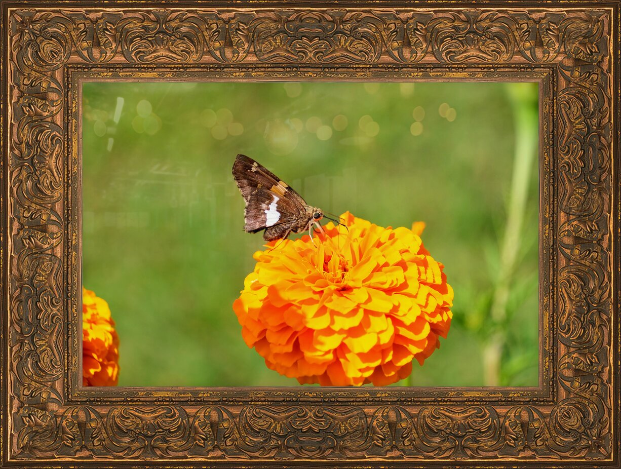 Impression de cadre personnalisé