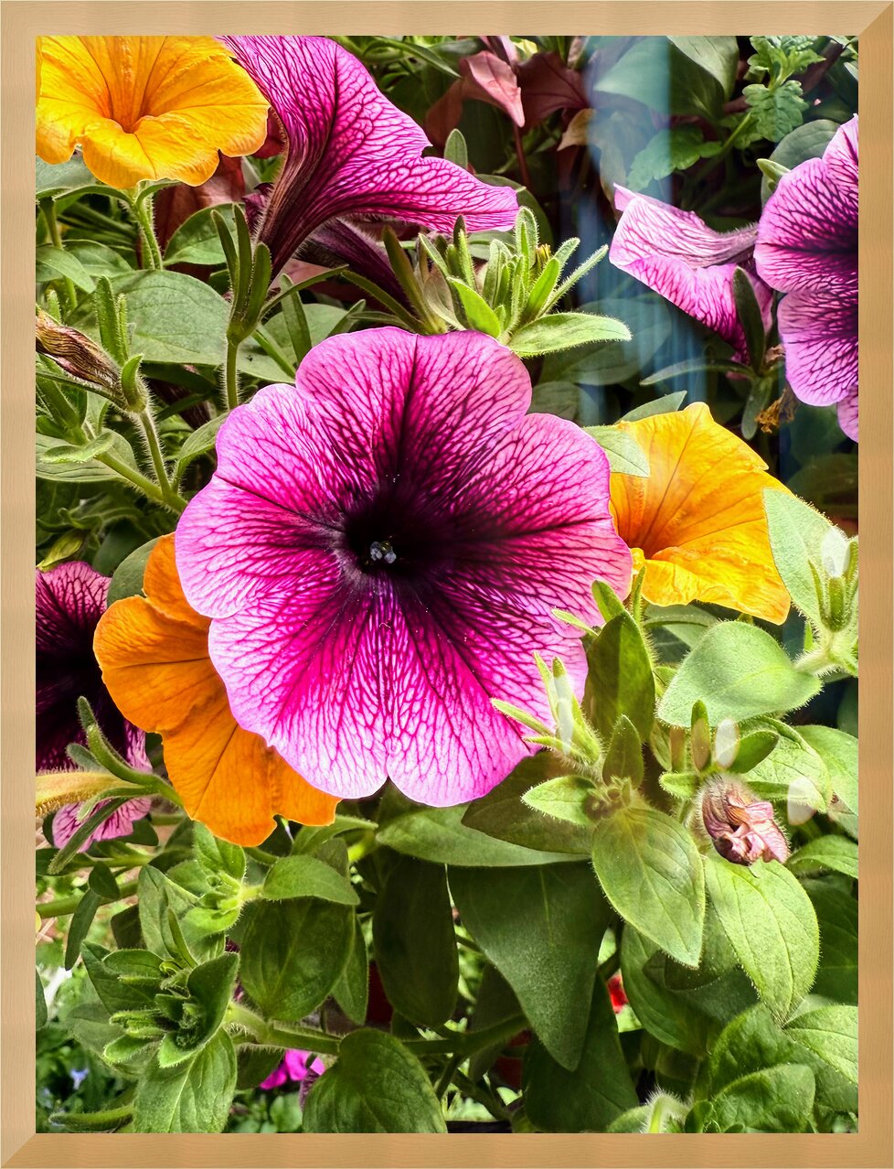 Impression de cadre personnalisé