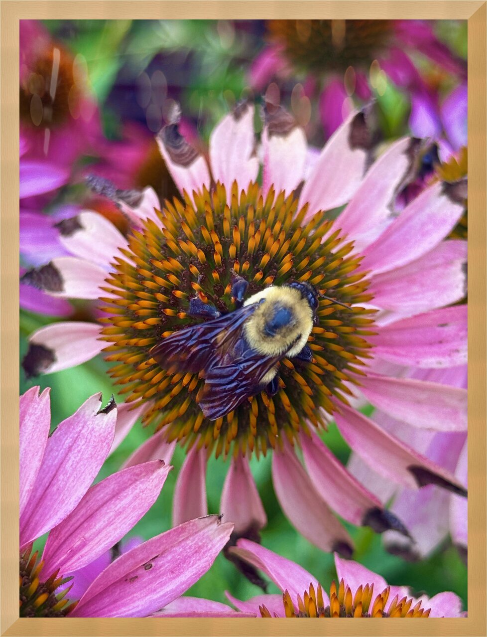 Impression de cadre personnalisé