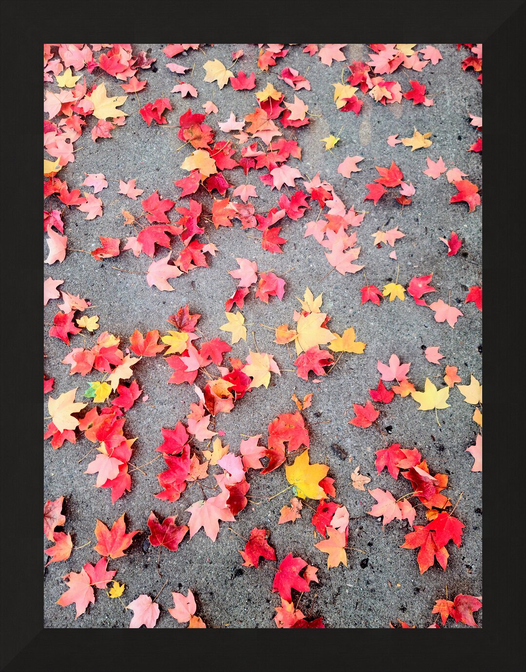 Impression de cadre personnalisé